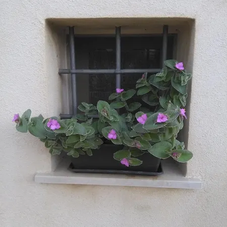 Casadorata Buen Retiro Vista Mare *