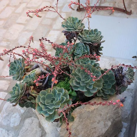 Casadorata Buen Retiro Vista Mare בית נופש