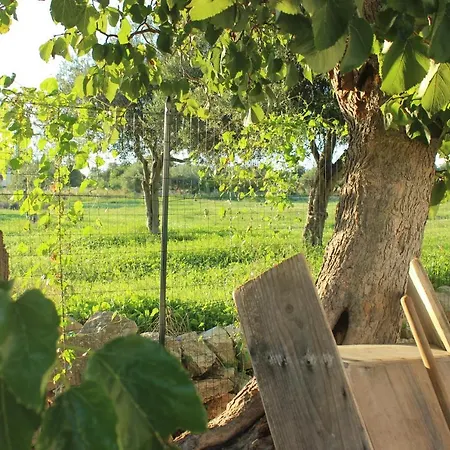 Casadorata Buen Retiro Vista Mare דונלוקאטה